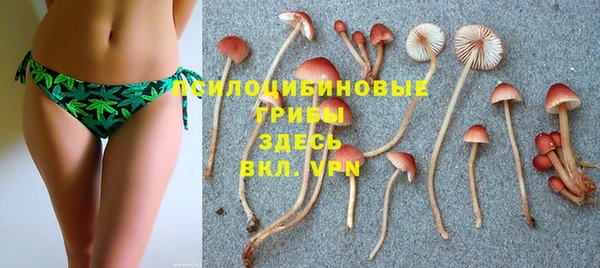 герыч Арсеньев