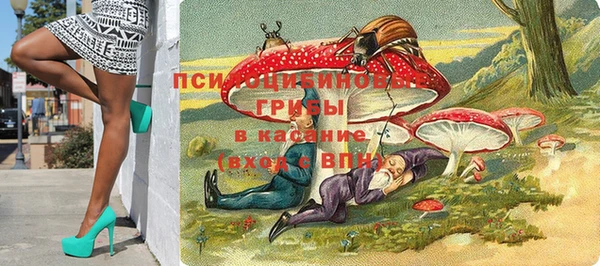 спайс Елизово