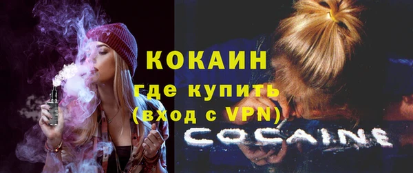 spice Аркадак