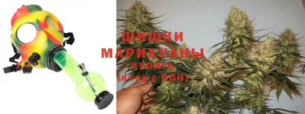spice Аркадак