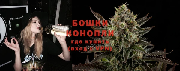 прущие грибы Кодинск