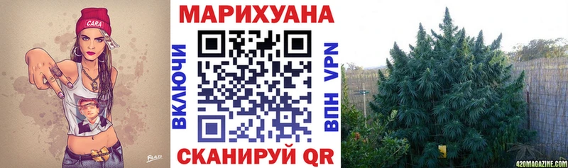 Бошки марихуана семена  дарнет шоп  Голицыно 